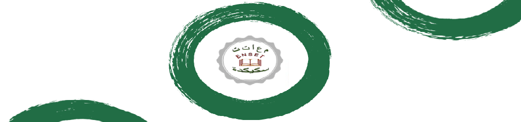 logo enset2